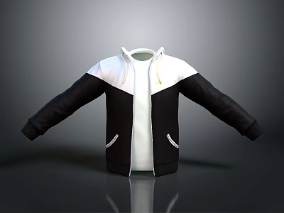 Black And White Hooded Jacket With Zipper Pockets And Casual Daily Wear Design 3d model