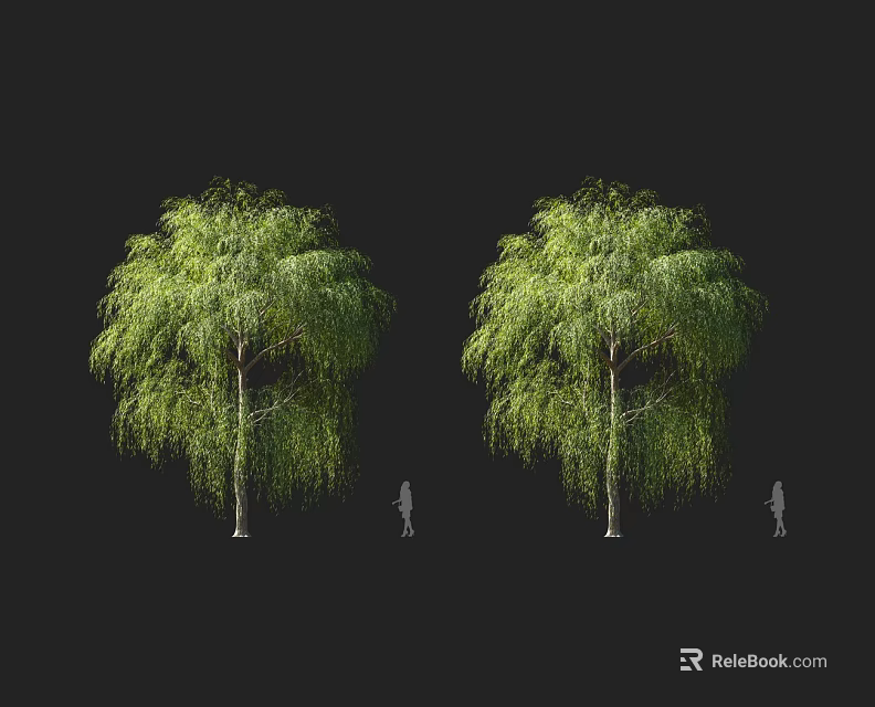 Lush Weeping Willow Trees With Dense Green Foliage And Human Figures For Scale 3d model 