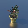 Potted Bonsai Plant With Green And Red Leaves In Golden Decorative Pot