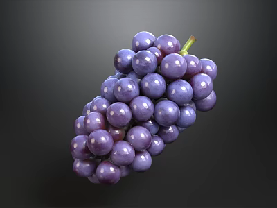 Fresh Juicy Purple Grapes Bunch On Black Background Close Up Shot 3d model