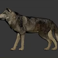 Lifelike Standing Wolf Sculpture With Gray Brown Fur And Natural Posture