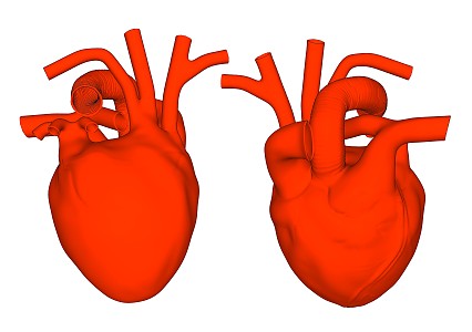 The Modern Heart 3d model