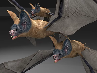Bat 3d model