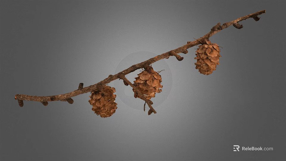 Natural Dry Branch With Three Brown Pine Cones On Gray Background 3d model 