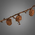 Natural Dry Branch With Three Brown Pine Cones On Gray Background 3d model
