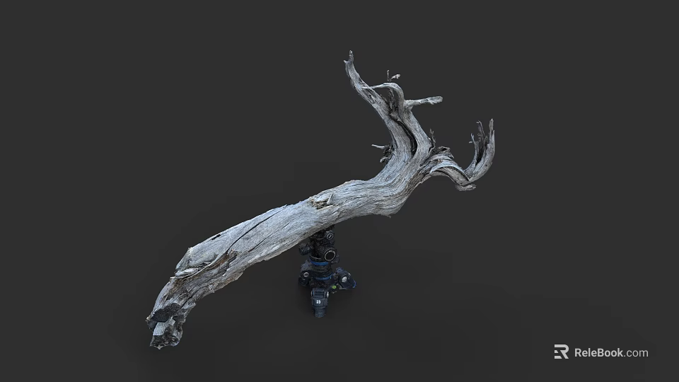 Artistic Natural Dry Branch Display On Tripod Against Dark Background 3d model 