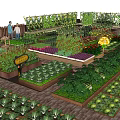Organic Vegetable Garden Landscape With Wooden Planters Various Vegetables Signs And Fence