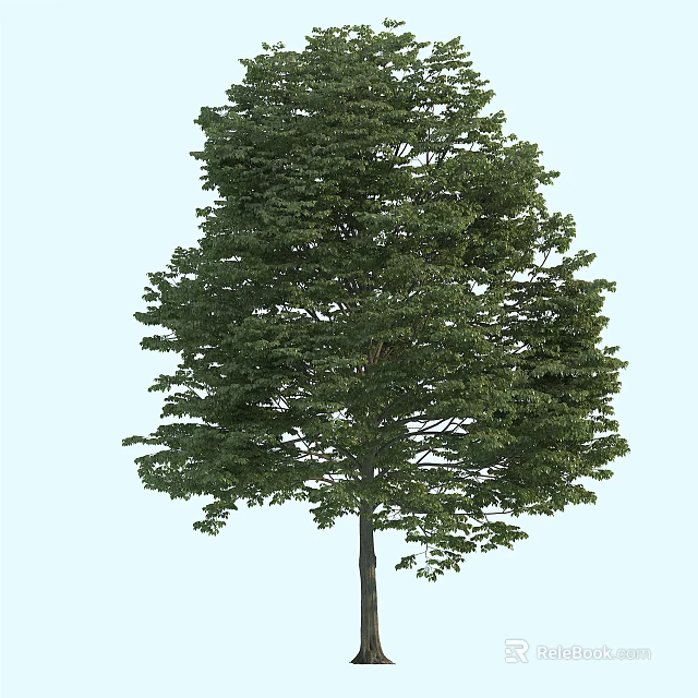 Lush Green Arbor With Dense Foliage And Upright Trunk In Natural Scene 3d model 