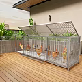 Outdoor Metal Pet Cage With Chickens On Wooden Patio Surrounded By Green Plants