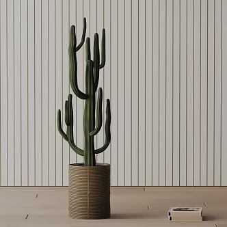Modern Potted Plant 3d model