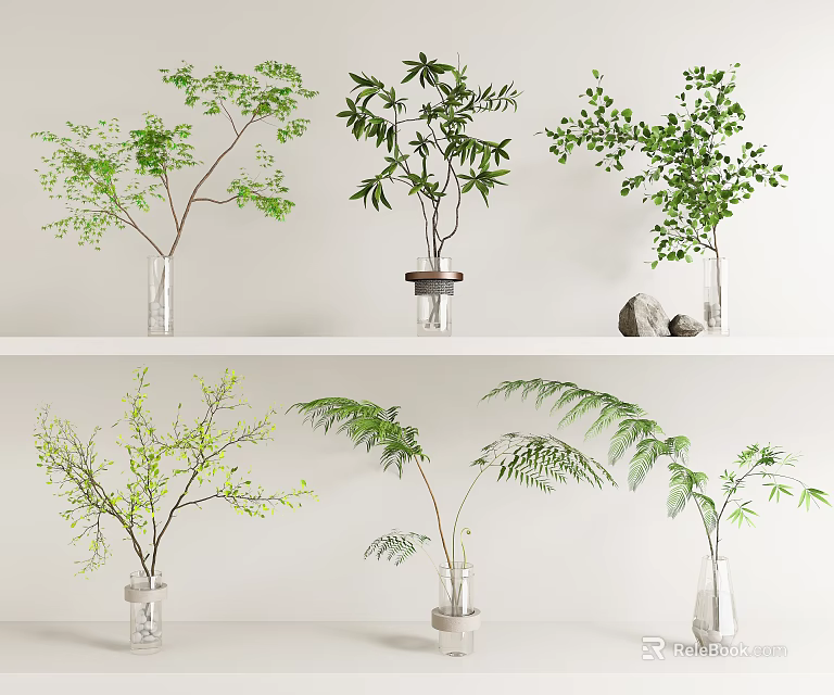 Various Green Plants in Transparent Vases Featuring Ferns Bamboo Like Leaves and Small Buds 3d model 