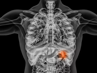 Medical Devices For Visualizing Human Internal Organs And Skeletal Structure 3d model