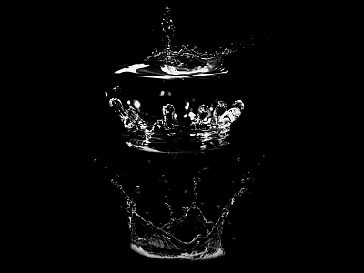 Elegant Garden Ornaments Featuring Transparent Containers Water Splashes And Reflections On Black Background 3d model