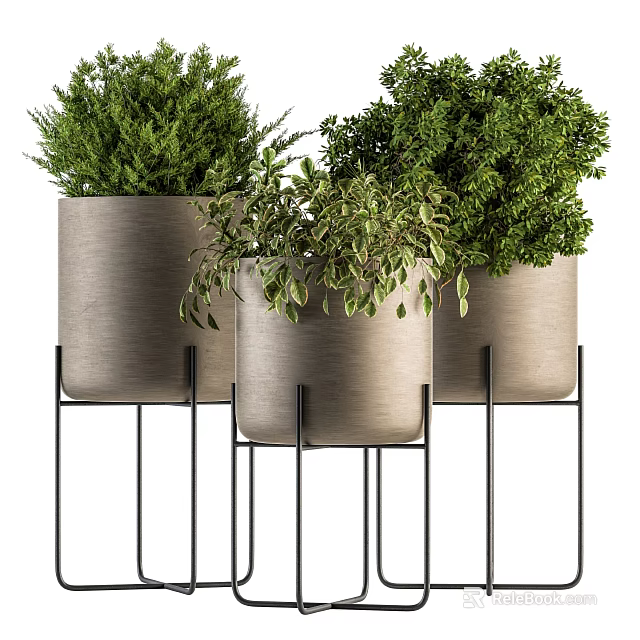 Modern Potted Plants in Gray Pots on Black Metal Stands with Lush Green Foliage 3d model 
