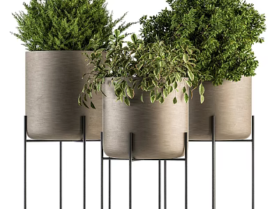 Modern Potted Plants in Gray Pots on Black Metal Stands with Lush Green Foliage 3d model