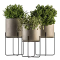 Modern Potted Plants in Gray Pots on Black Metal Stands with Lush Green Foliage