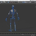 Organ System Human Skeleton Model With Anatomical Structure Educational