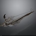 Anatomical Fish Skeleton Organ Structure Featuring Bone Framework And Details