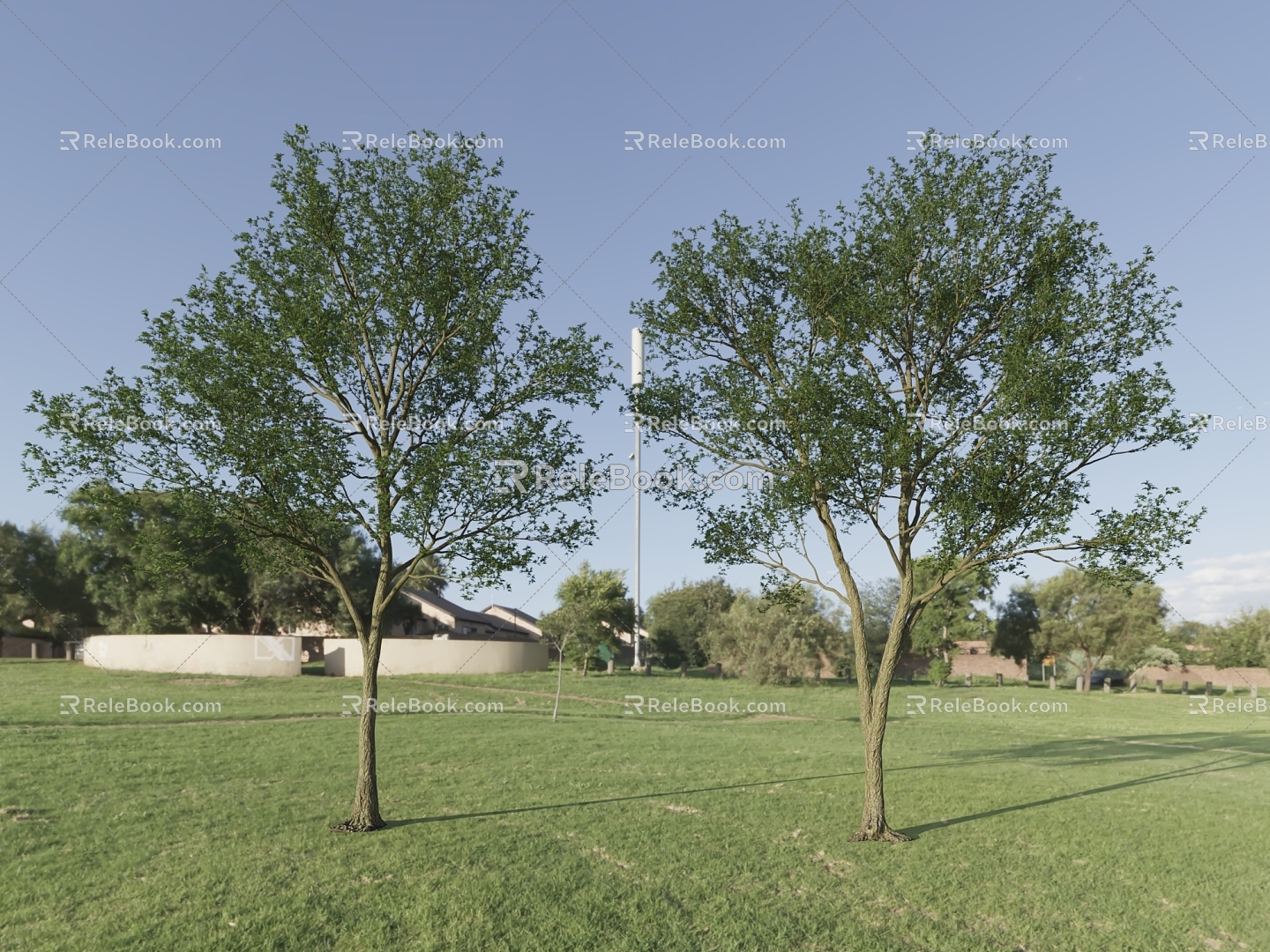 Landscape Trees Street Trees Park Trees 3d model