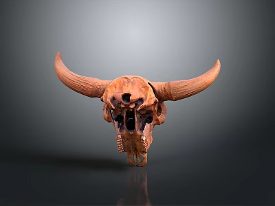 Brown Animal Skull With Large Curved Horns On Reflective Gray Gradient Background 3d model