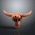 Brown Animal Skull With Large Curved Horns On Reflective Gray Gradient Background