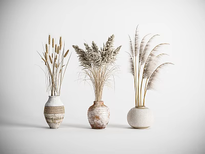 Three Ceramic Vases With Dried Pampas Grass On Minimalist White Background 3d model