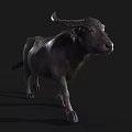 Buffalo 3D Model With Realistic Horn Details And Textured Skin Appearance