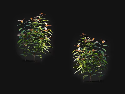 Vibrant Arbor Trees with Lush Green Leaves and Strong Branches 3d model