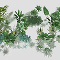 Wide Range of Green Foliage Plants with Diverse Leaf Shapes and Tropical Varieties