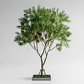 Modern Landscape Trees Meteor Shower 3d model