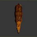 Small Orange And Brown Deer Like Animal With Shiny Fur Standing On Dark Background
