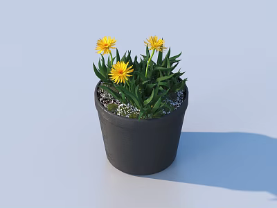 Vibrant Potted Plant With Yellow Flowers Green Leaves And White Pebbles In Black Pot 3d model