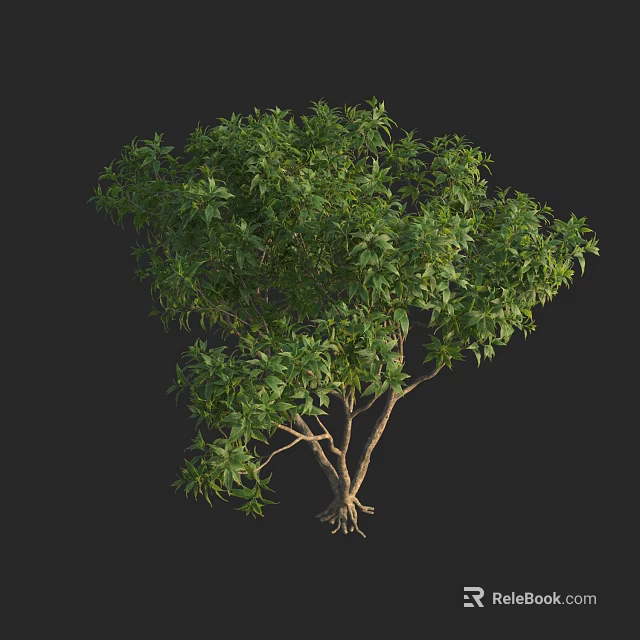 Lush Arbor With Green Foliage Strong Trunk And Visible Root System 3d model