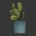 Green Cactus Plant with Prickly Pads in Blue Textured Ceramic Pot Placed on Dark Background