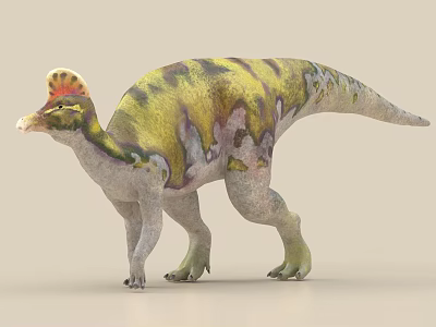 3D Rendering Of Colorful Crested Dinosaur Model 3d model
