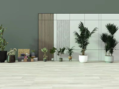 Indoor Potted Plants Arrangement With Various Greenery And Decorative Planters On Light Floor 3d model