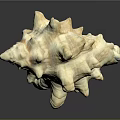 Intricate Conch Shell Sculpture Carving With Natural Texture And Artistic Details