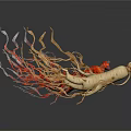 Fresh Red and White Ginseng Roots with Fibrous Tails on White Background