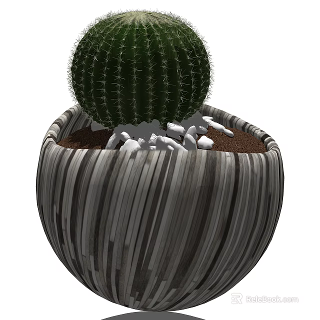 Potted Cactus Plant In Striped Gray Ceramic Pot With Small White Stones 3d model 