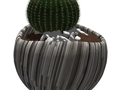 Potted Cactus Plant In Striped Gray Ceramic Pot With Small White Stones 3d model