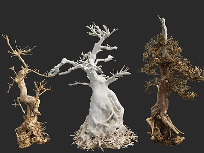 Unique Sculptural Decorative Trees With Natural Roots And Varied Textures 3d model