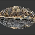 Natural Wood and Stone Decorative Piece with Textured Surface and Contrasting Colors