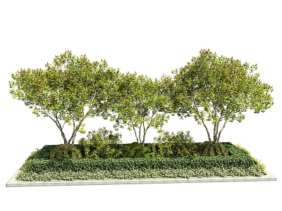Arbor Trees With Lush Green Foliage And Surrounding Shrubs In Garden Landscape 3d model