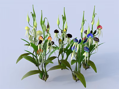 Colorful Orchid Like Plants With Slender Stems Multiple Buds And Green Leaves 3d model