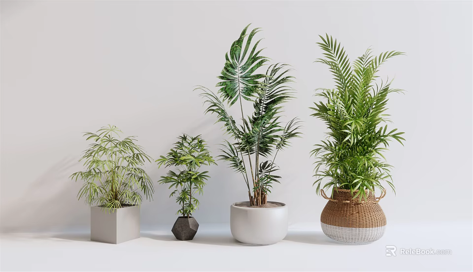 Various Green Potted Plants With Different Planters On White Background 3d model