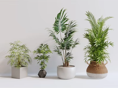 Various Green Potted Plants With Different Planters On White Background 3d model