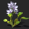 Vibrant Purple Flowering Plant with Lush Green Leaves and Stems