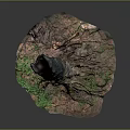 Natural Wood And Stone Decorative Stump With Green Mossy Base And Textured Trunk