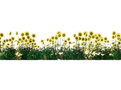 Vibrant Sunflower Flower Field With Lush Green Grass And Colorful Blooms 3d model