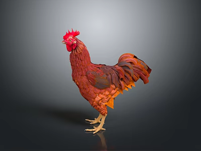 Red Rooster With Vibrant Feathers And Red Comb Standing On Dark Background 3d model